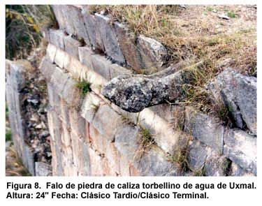 Sin Nombre